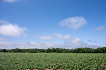 日本の北海道の道東のとても美しい風景