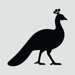 Silhouette peacock black shape decorative animal vector illustration