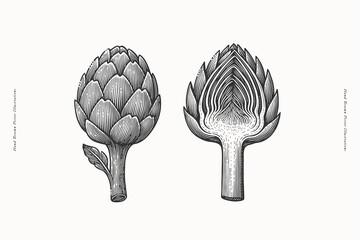 Whole and cut artichoke vegetable illustration. Hand drawn vintage style black and white vector illustration. Healthy food and botanical ingredient concept. Design for print, card, poster, banner.