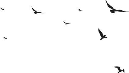 Flying birds silhouettes on white background. Vector illustration. isolated bird flying. tattoo design.