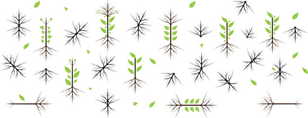 Root of the tree. Black silhouette. Vector illustration.