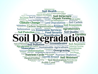 Soil Degradation Word Cloud. Key Concepts in Land Decline and Restoration Challenges