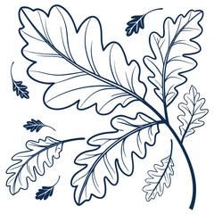 Hand Sketched Organic Leaves in Vector Format
