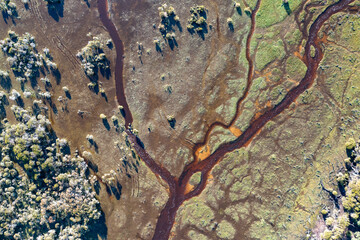 stream through swampy marsh land from above