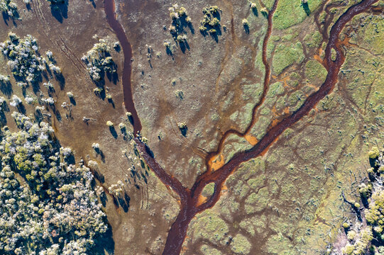 stream through swampy marsh land from above
