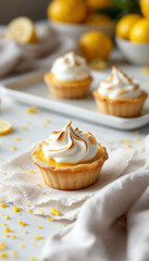 Close-up of lemon meringue tart with toasted topping