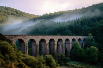 Fototapeta premium Historic Stone Viaduct over Forest Valley with Light Fog