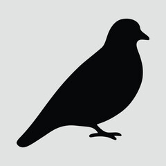 Silhouette simple pigeon standing isolated vector illustration
