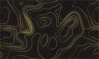 Gold line abstract pattern with topolographic mountain texture. Modern topography design for luxury packaging or vector art. Organic wavy contours with futuristic shapes.