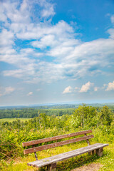 Sunny forest clearing with a rustic wooden bench and tall trees under a blue summer sky. Peaceful nature scene ideal for hiking, relaxing, and outdoor recreation in the countryside.
