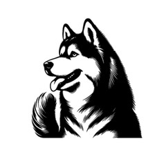 Brilliant Husky Dog Vector Illustration – Husky Dog 37