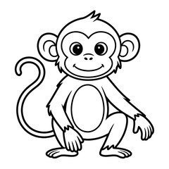 Fototapeta premium a monkey on the ground in jungle