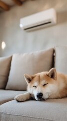 cats, sleeping cats, cozy couch, air conditioner, cool environment, domestic animals, relaxation, comfort, home interior, peaceful scene
