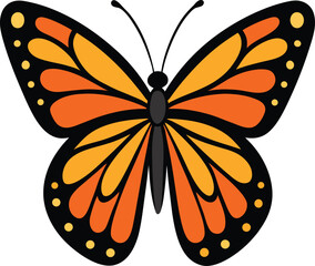Monarch Butterfly Vecor Illustration On White Background