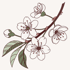 Simple Cherry Blossom Vector Symbol

