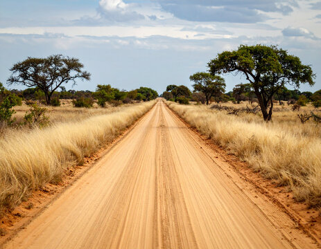 A wide shot of a rural Zambian dirt road stretching into the horizon, flanked by dry grass and distant trees.