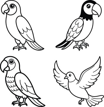 set of birds on white background