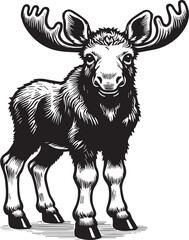 Moose Vector In Black and White