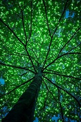 Green and Blue Abstract Tree Canopy Design