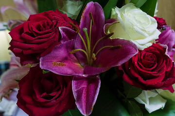 bouquet of pink roses
