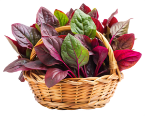  red spinach in the basket on isolated on white background png , AI GENERATED