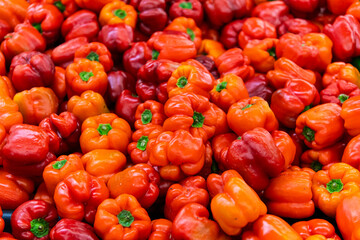 bell pepper on sale at the supermarket