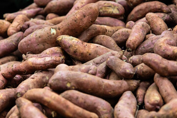sweet potato on sale at the supermarket