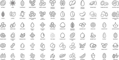 Seeds and Nuts Vector Line Icon Set. Isolated on White Background.