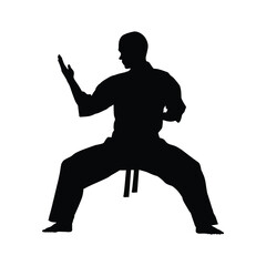Silhouette of a Martial Artist in a Dynamic Defensive Karate Pose