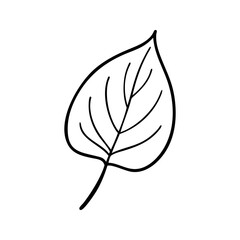 Black and White Leaf Line Drawing. Simple Botanical Illustration