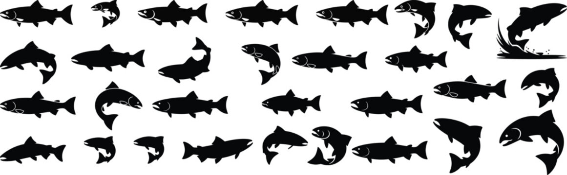 A large collection of atlantic salmon fish silhouette vector graphics in many different swimming and jumping poses for design.