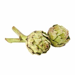 Obraz premium Two fresh artichokes on a white background showcasing their natural texture and color.