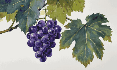 Verdant Yield purple grapes tree isolated watercolor vector illustration svg