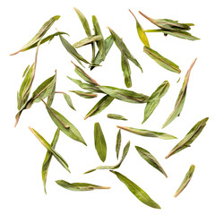 Dried tarragon leaves spread evenly, top-down view, isolated