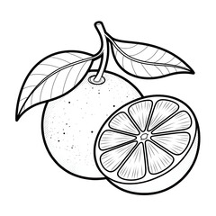 vector illustration of a orange coloring page 