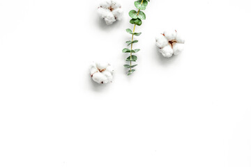Natural flowers composition with eucalyptus branches and cotton on white background top view, flat lay copy space