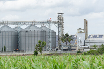 Large metal silos, solar panels, and green cornfield under cloudy sky