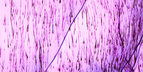 Gold, Texture, and Bold Colors in an Artistic Wallpaper