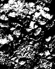 black and white background