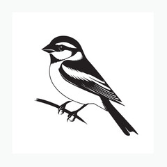bird on a branch