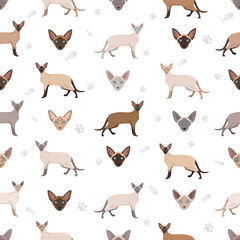 Siamese (Thai) Cat clipart. Modern type. All coat colors set.  All cat breeds characteristics infographic. Vector illustration