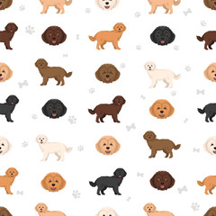 Obraz premium Westiepoo clipart. West Highland White Terrier Poodle mix. Different coat colors set. Vector illustration