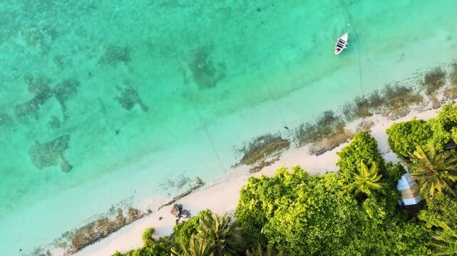 Aerial view of boat near the shore, Maldives.