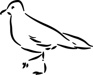 Minimalist seagull standing sketch suitable for branding packaging stationery posters coastal decor eco design