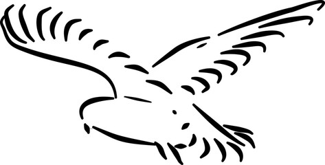 Soaring seagull illustration for product labels packaging travel branding summer print design