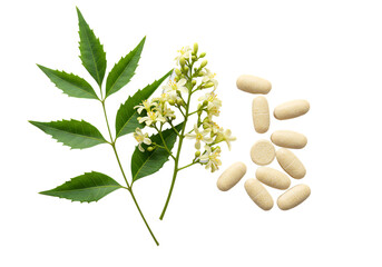 Neem leaves flowers and tablets representing natural herbal medicine and supplements Isolated on transparent background