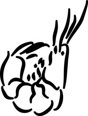 Shrimp sketch for seafood packaging restaurant label culinary branding illustration