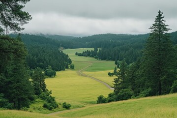 Serene Green Landscape with Rolling Hills and Misty Skies