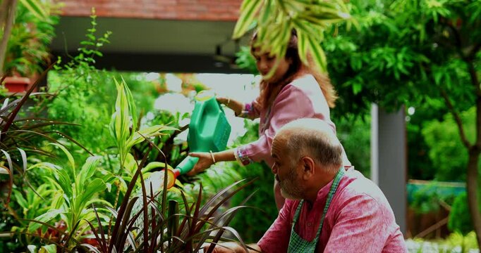 Senior couple gardening watering plants together in home garden, Indian Asian retired husband wife happily taking care of greenery during morning routine, outdoor lifestyle, wellness, bonding activity - Powered by Adobe