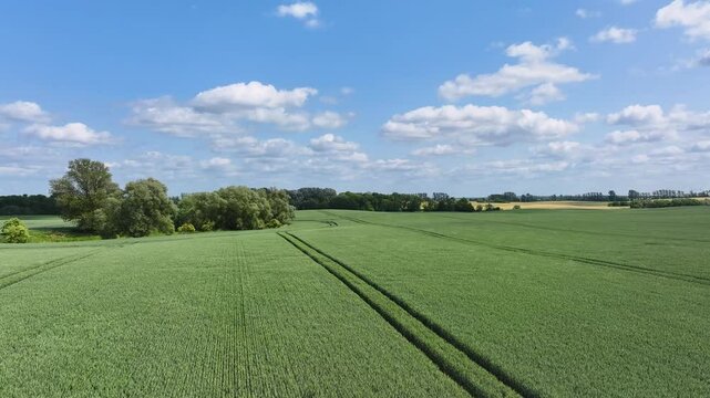 Aerial view of green field and blue sky, Germany.